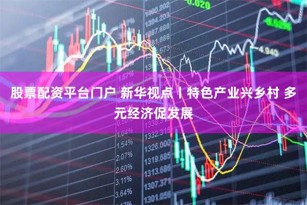 股票配资平台门户 新华视点丨特色产业兴乡村 多元经济促发展