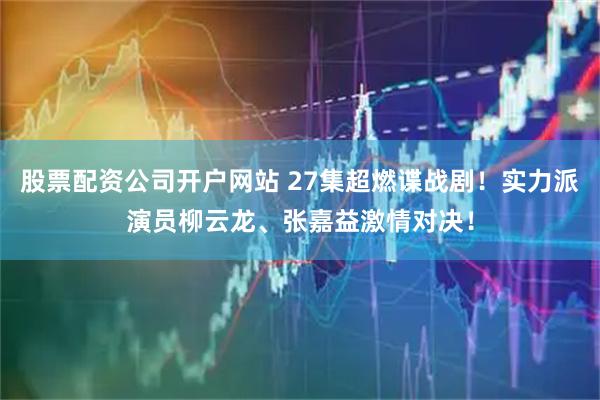 股票配资公司开户网站 27集超燃谍战剧！实力派演员柳云龙、张嘉益激情对决！