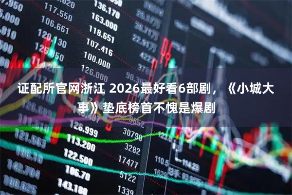 证配所官网浙江 2026最好看6部剧，《小城大事》垫底榜首不愧是爆剧